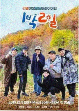 迷雾追踪 芒果在线观看免费高清电视剧